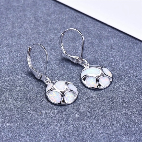 Sterling Silver Round Earrings - Picture 3 of 4